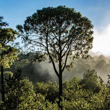Отель Bosque Escondido Мазамитла Экстерьер фото