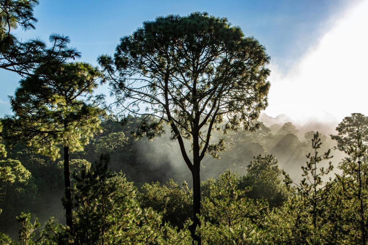 Отель Bosque Escondido Мазамитла Экстерьер фото